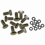 Raumer Stainless Steel Captive Screws M8 X 16mm set of 10